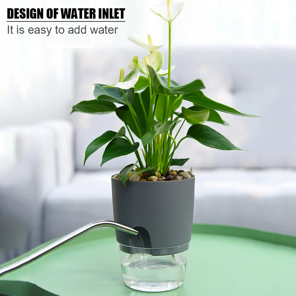 Self Watering Planter