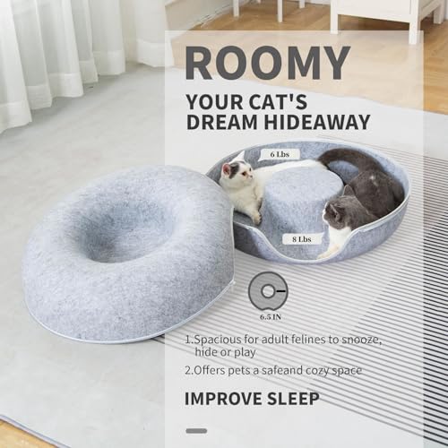 Cats Training Toy