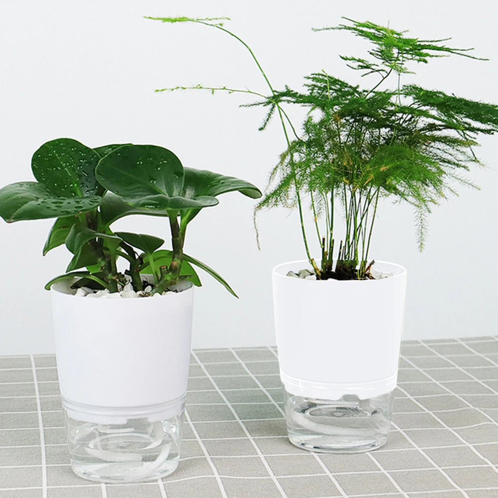 Self Watering Planter