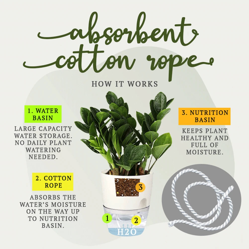 Self Watering Planter
