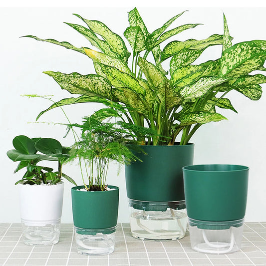Self Watering Planter
