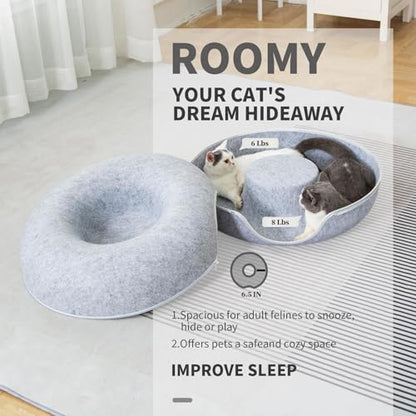 Cats Training Toy