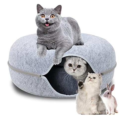 Cats Training Toy